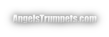 AngelsTrumpets.com